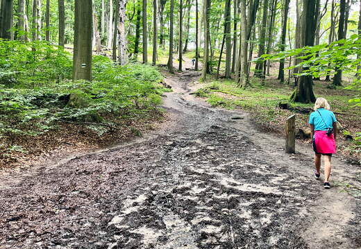 24-07-02 14-47-16 0133